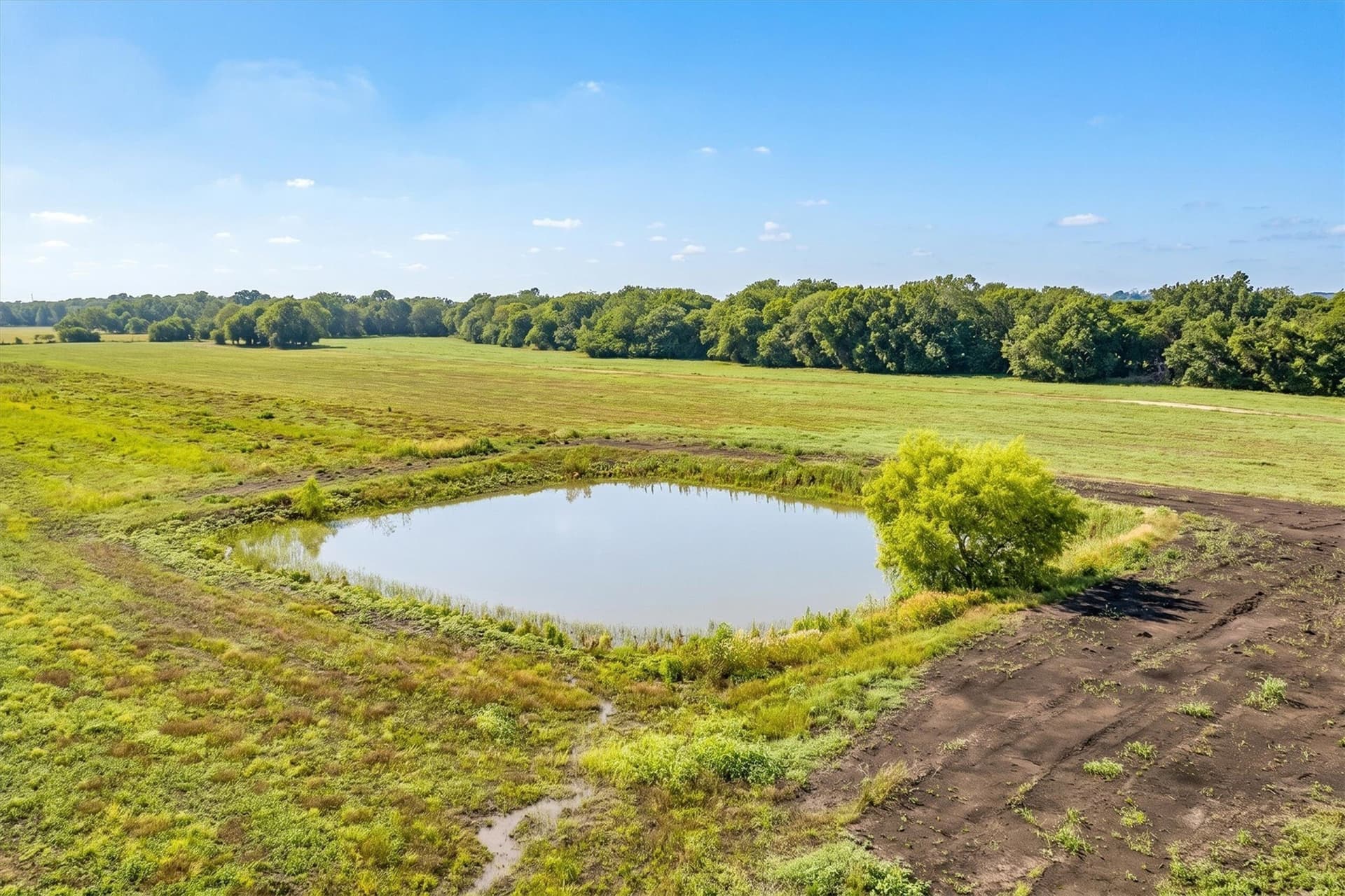 57.84 acres in Collin County - photo 11