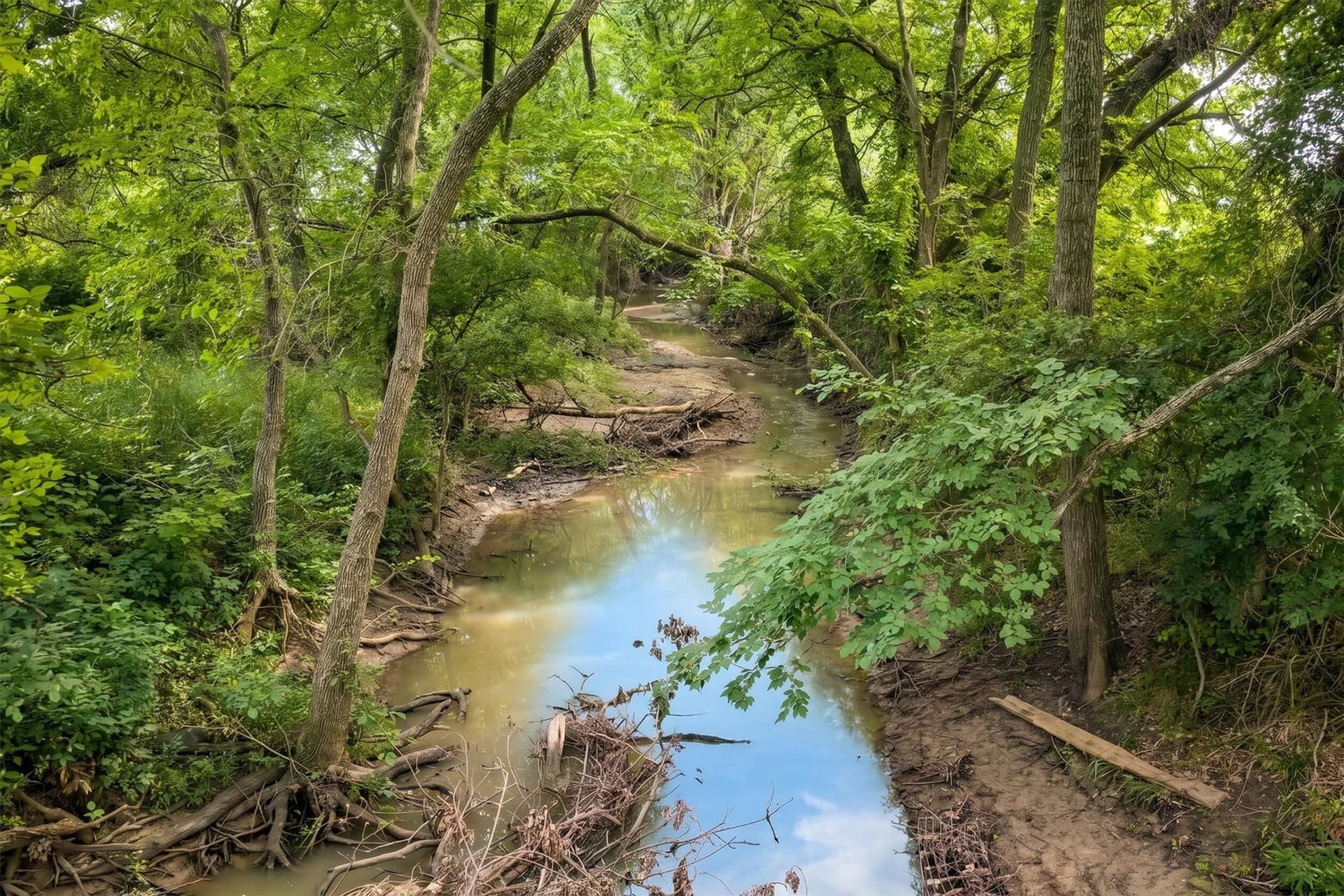 57.84 acres in Collin County - photo 15