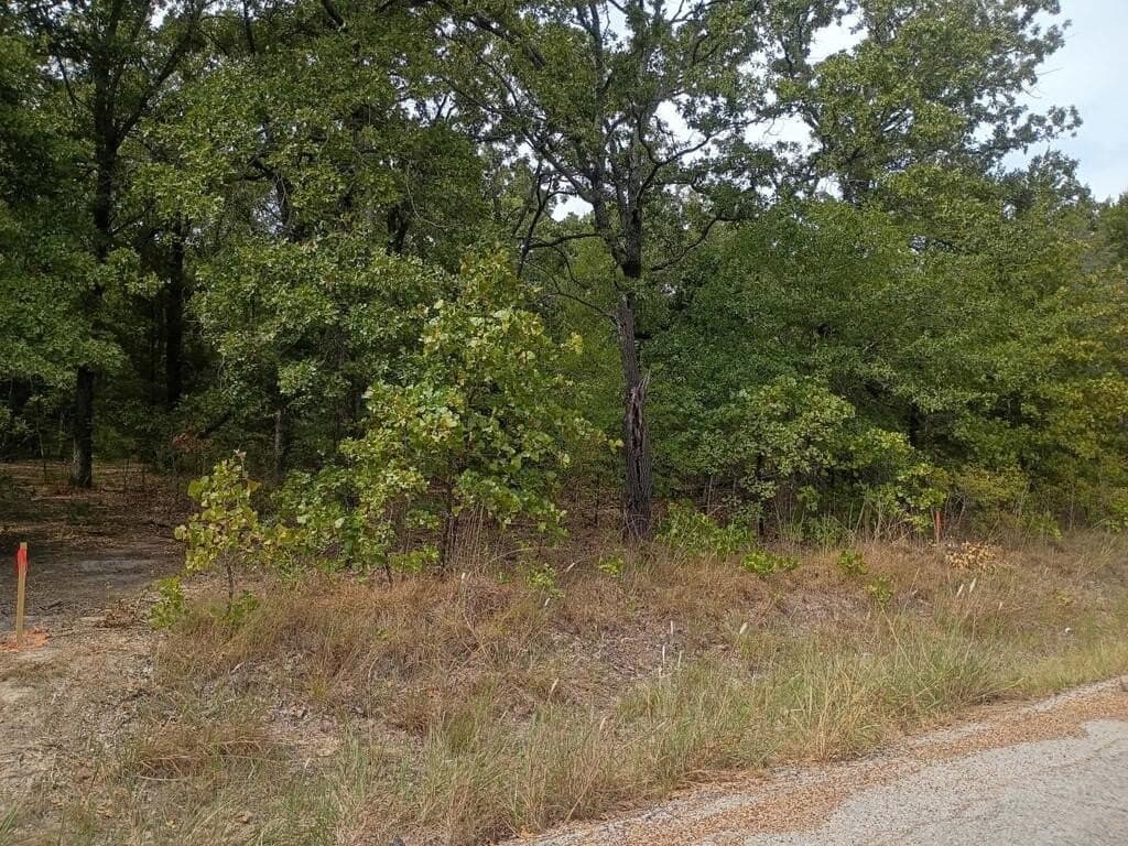 0.07 acres in Henderson County - photo 2