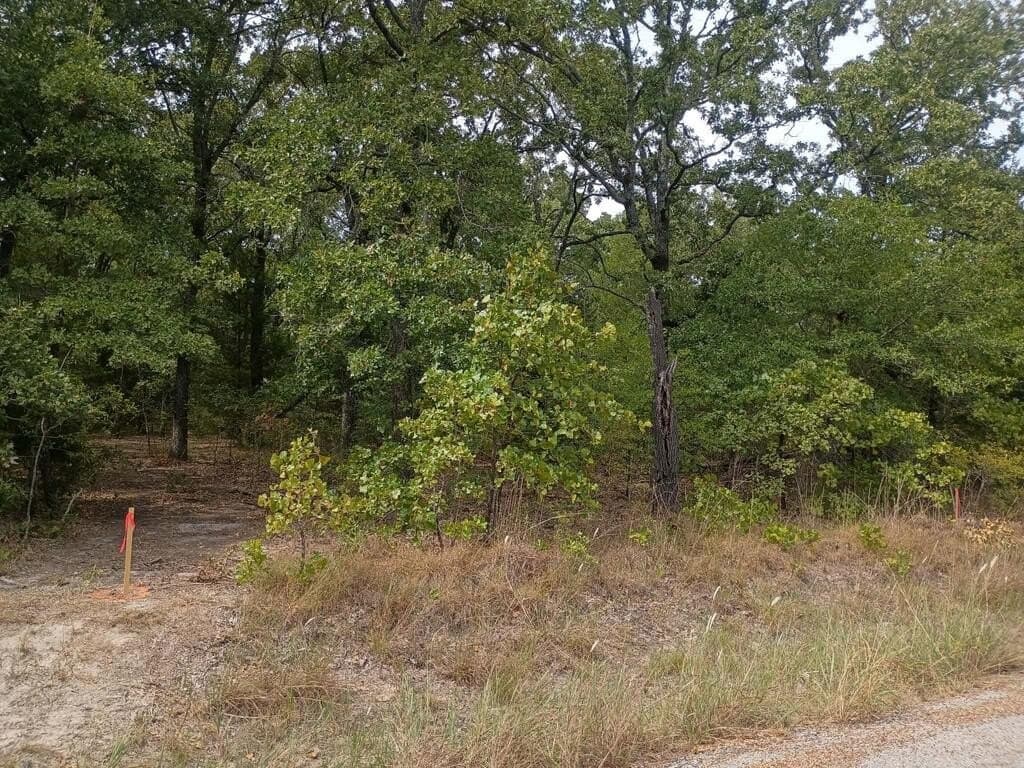 0.07 acres in Henderson County - photo 3