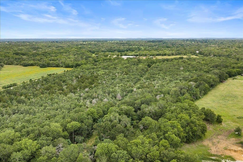87.63 acres in Bastrop County gallery image 4