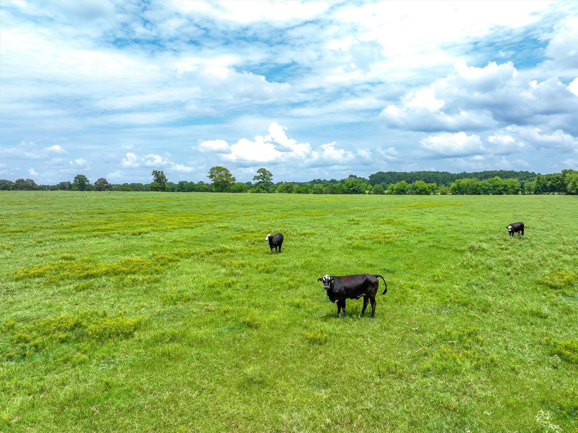 10 acres in Cherokee County - photo 9