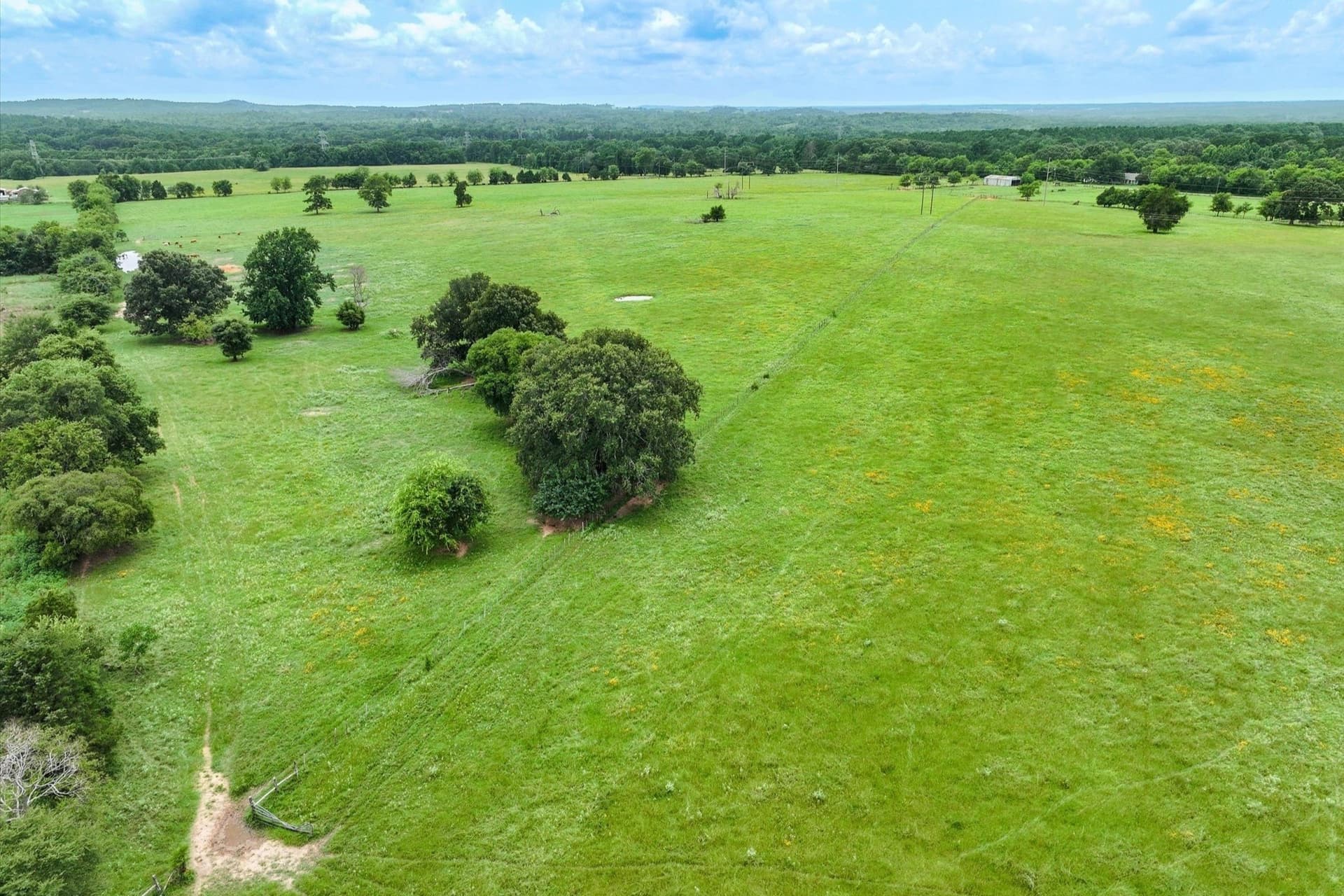 10 acres in Cherokee County - photo 3