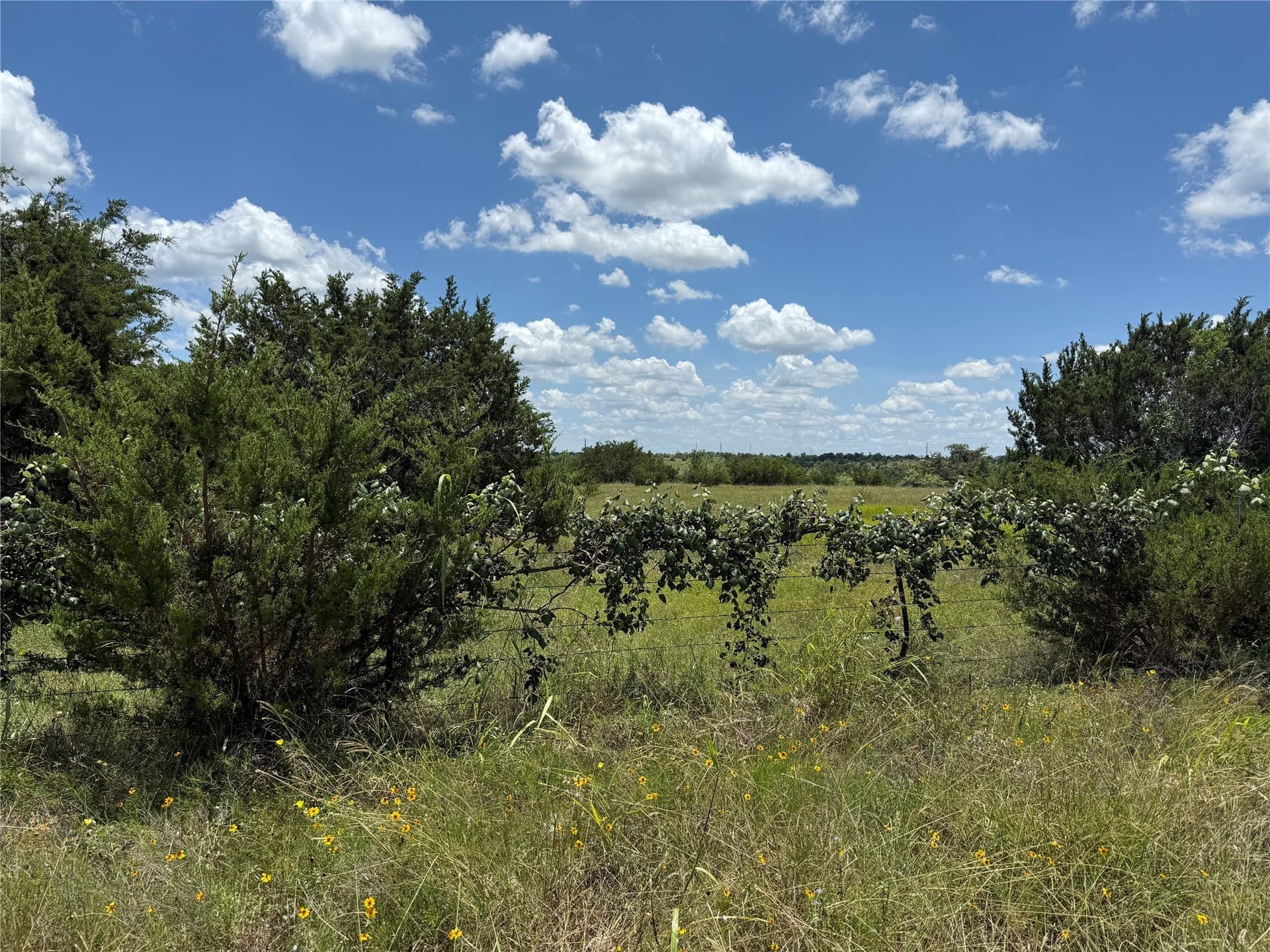 12.25 acres in Bosque County - photo 3