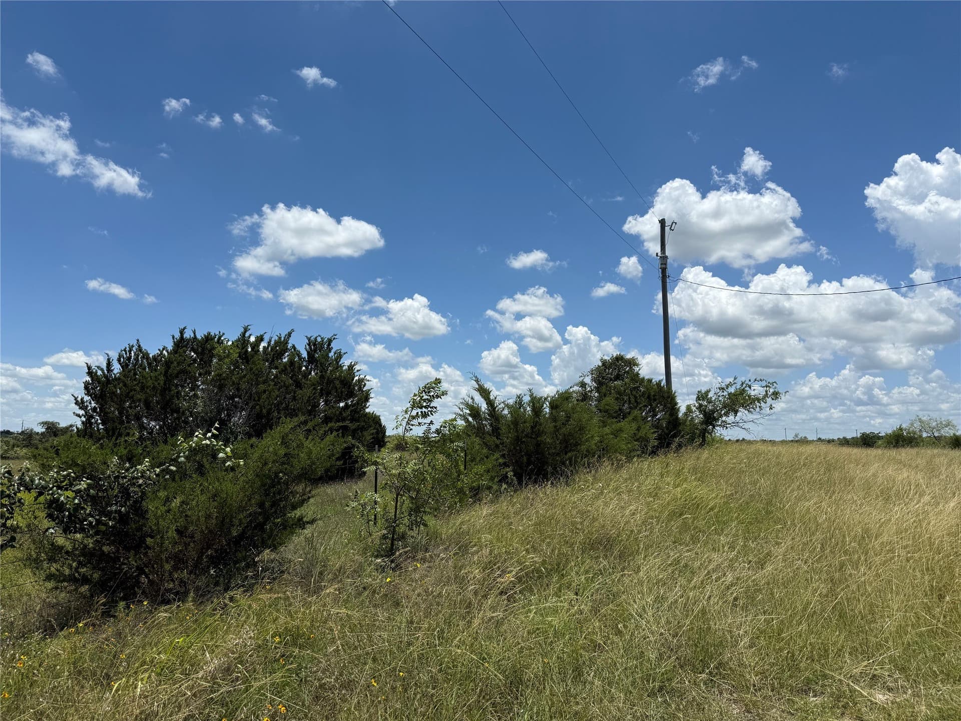 12.25 acres in Bosque County - photo 4