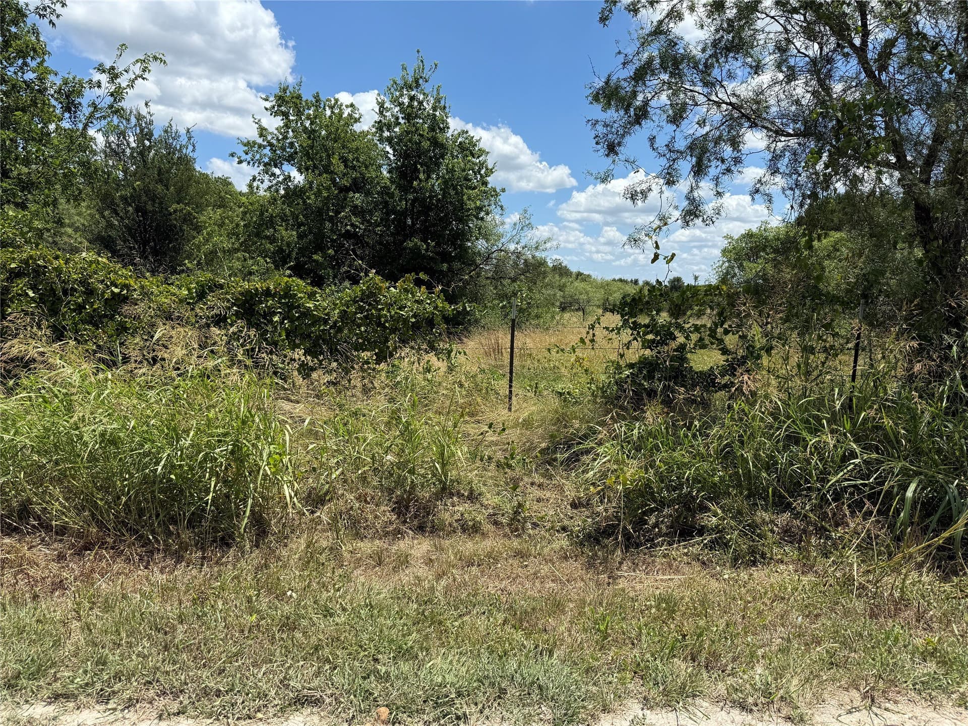 12.25 acres in Bosque County - photo 5
