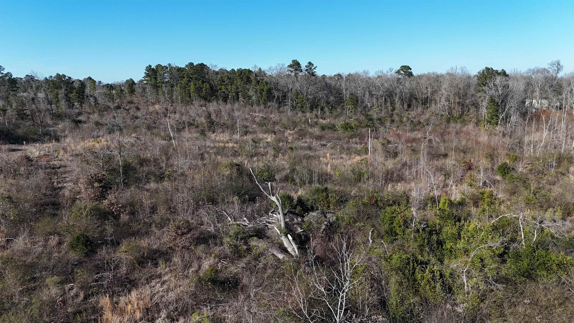 18.9 acres in Gregg County featured view