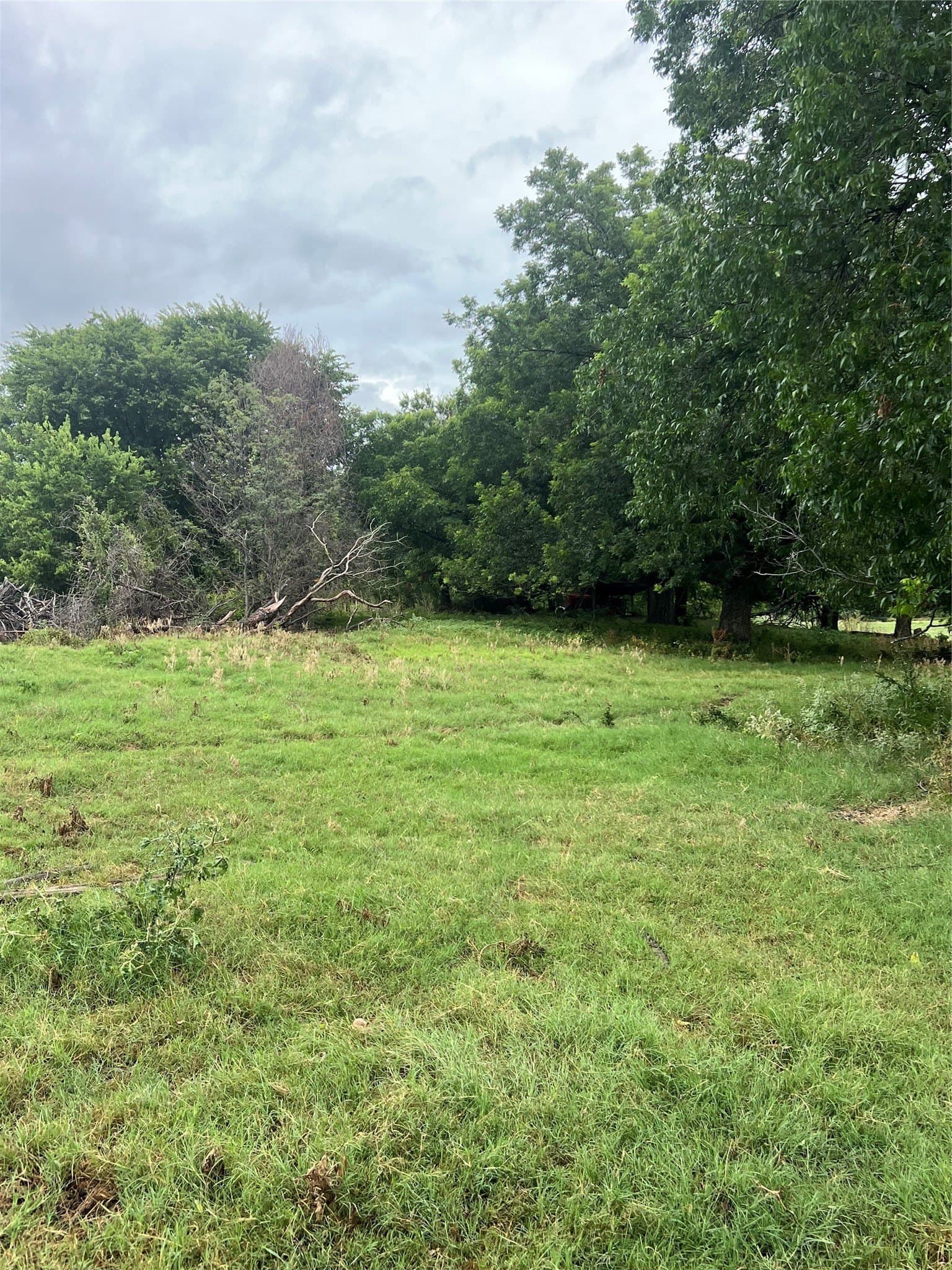 96.52 acres in Wise County - photo 2