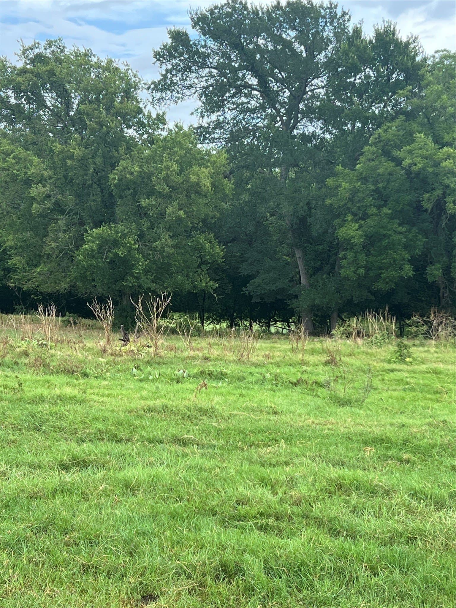 96.52 acres in Wise County