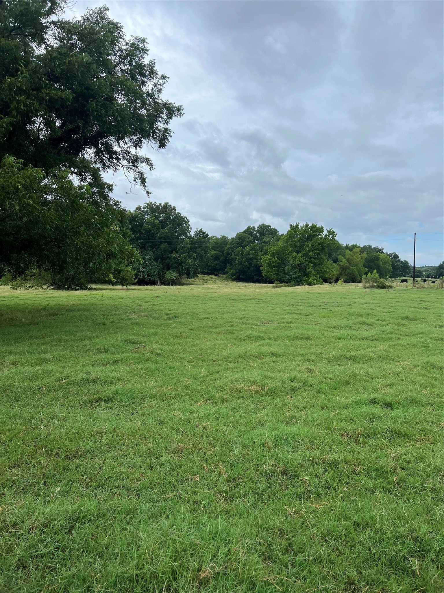 96.52 acres in Wise County - photo 4