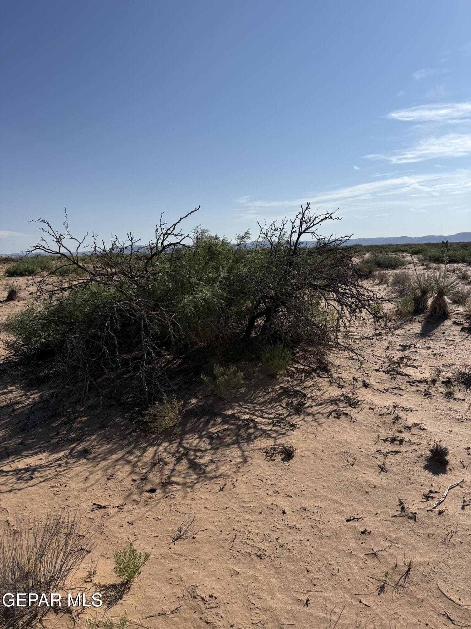 0.46 acres in El Paso County gallery image 4