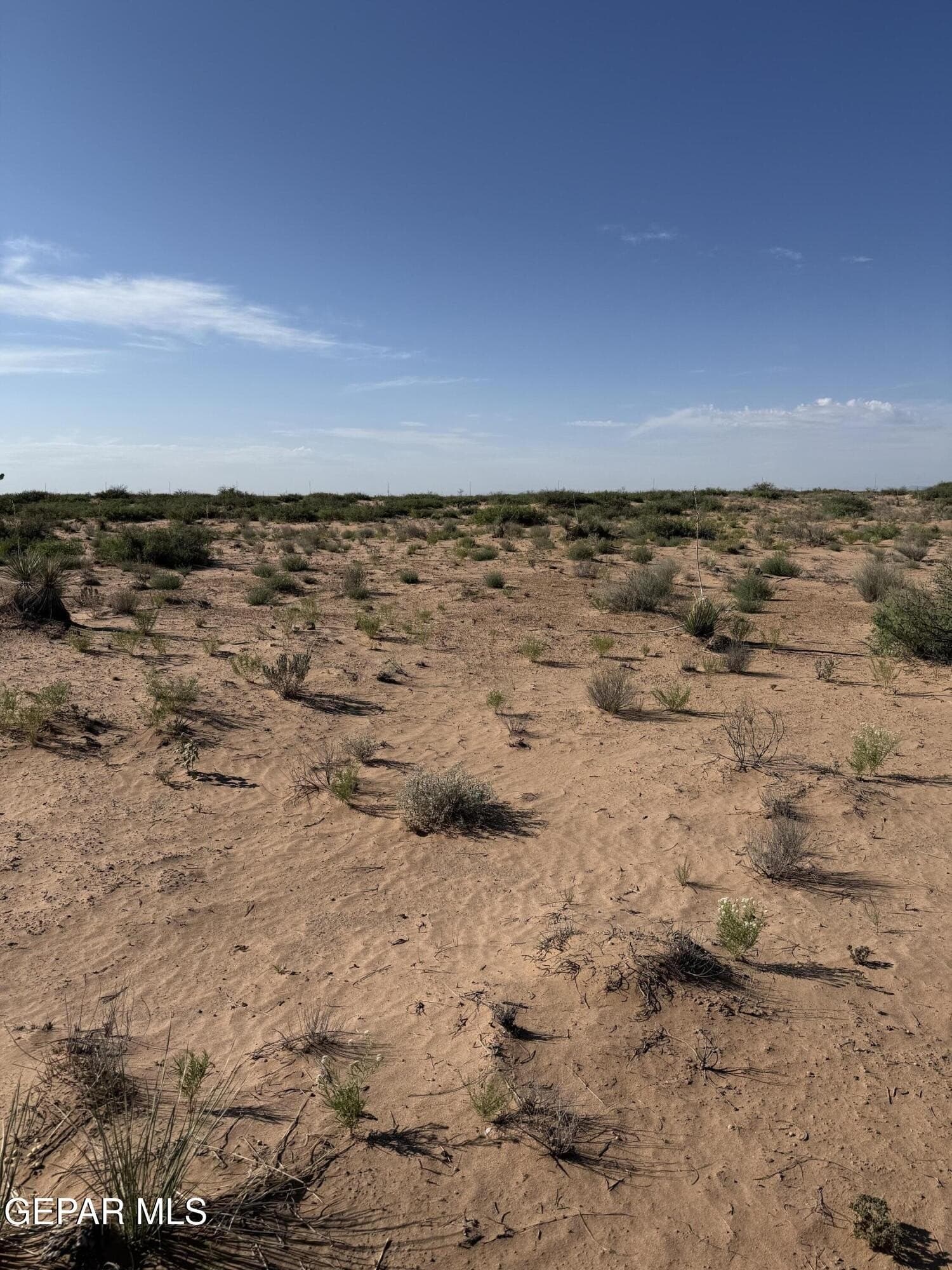 0.46 acres in El Paso County - photo 7