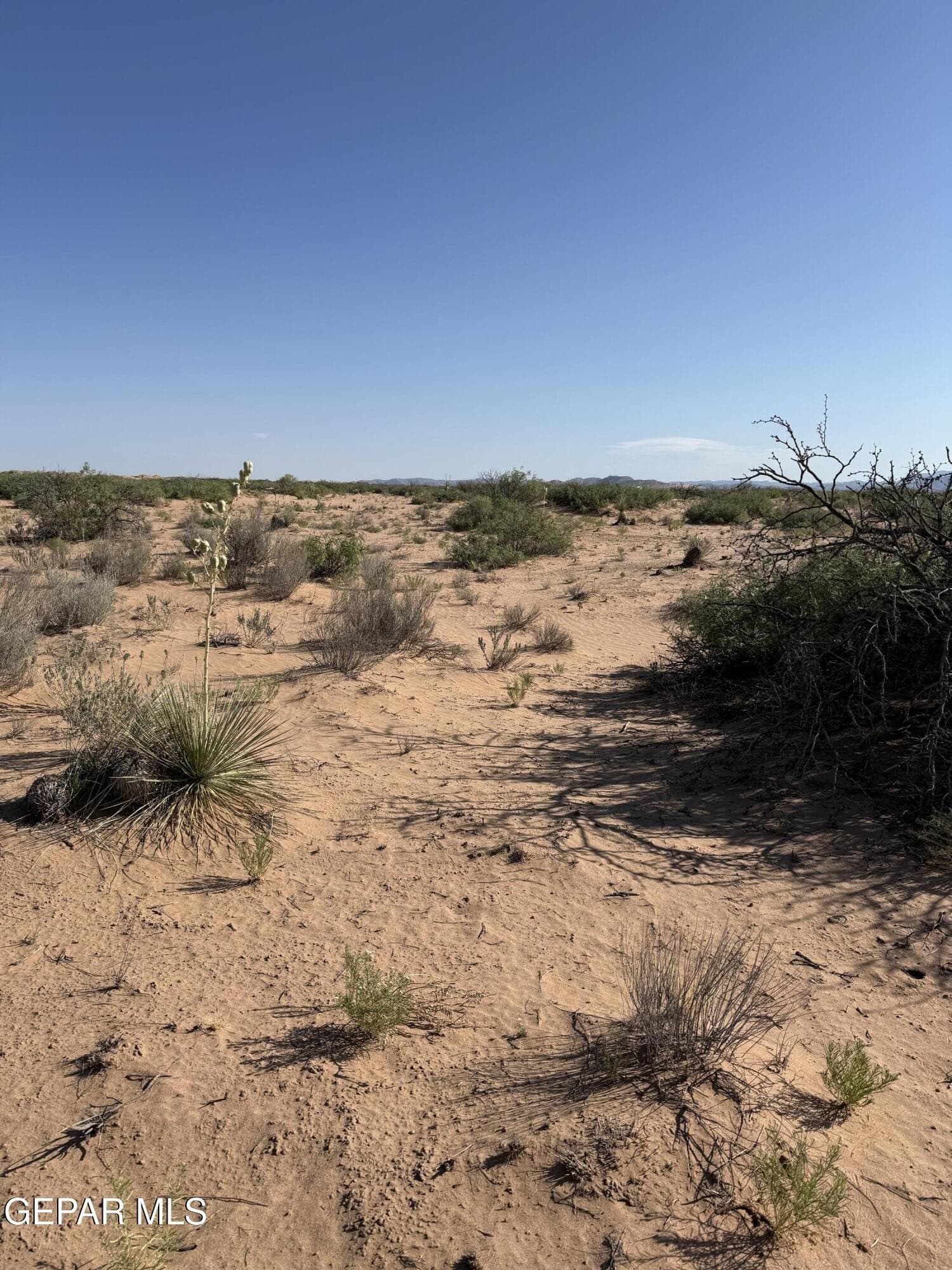 0.46 acres in El Paso County gallery image 3