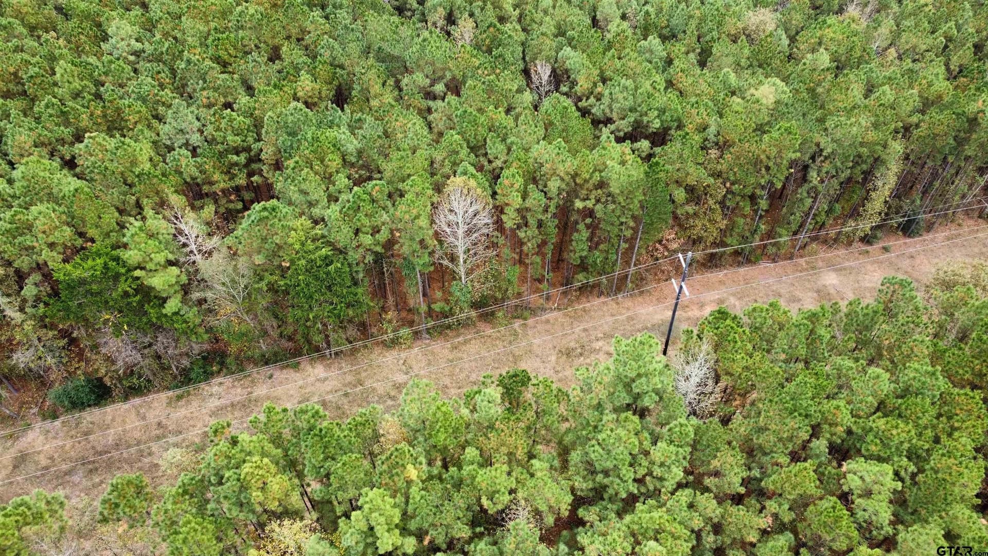 14.28 acres in Smith County gallery image 3