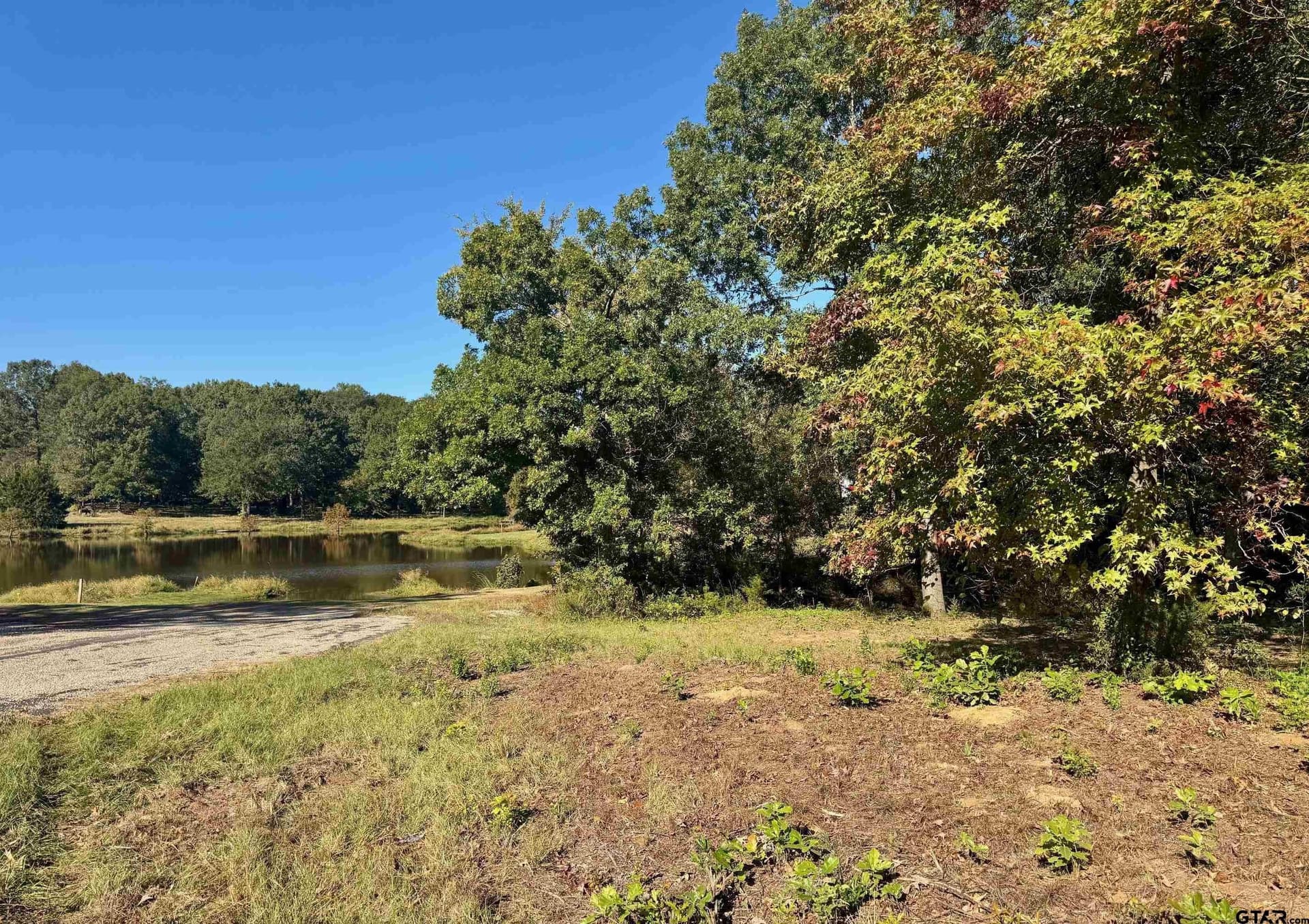 1.03 acres in Camp County
