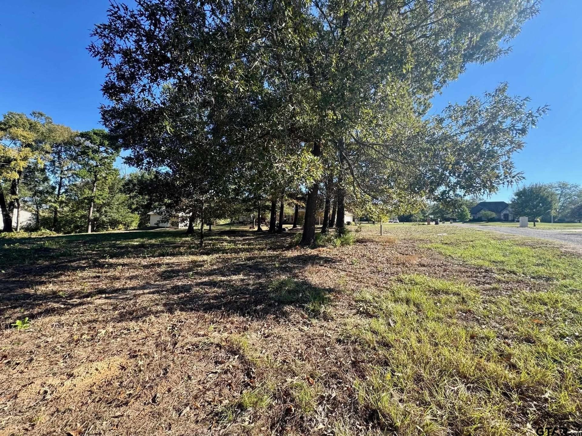 1.03 acres in Camp County - photo 3