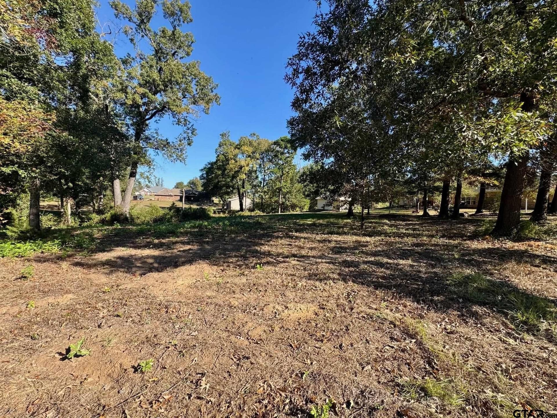 1.03 acres in Camp County - photo 2