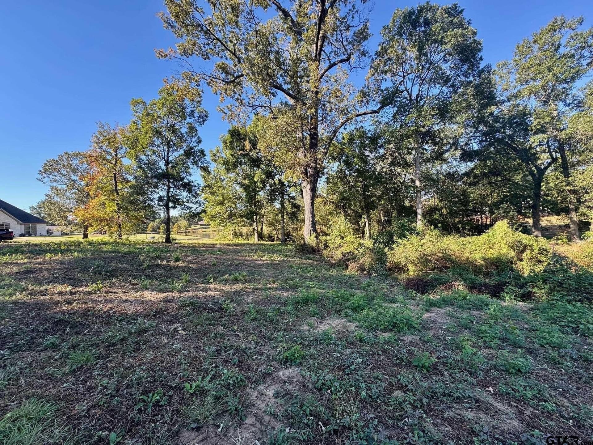 1.03 acres in Camp County - photo 4