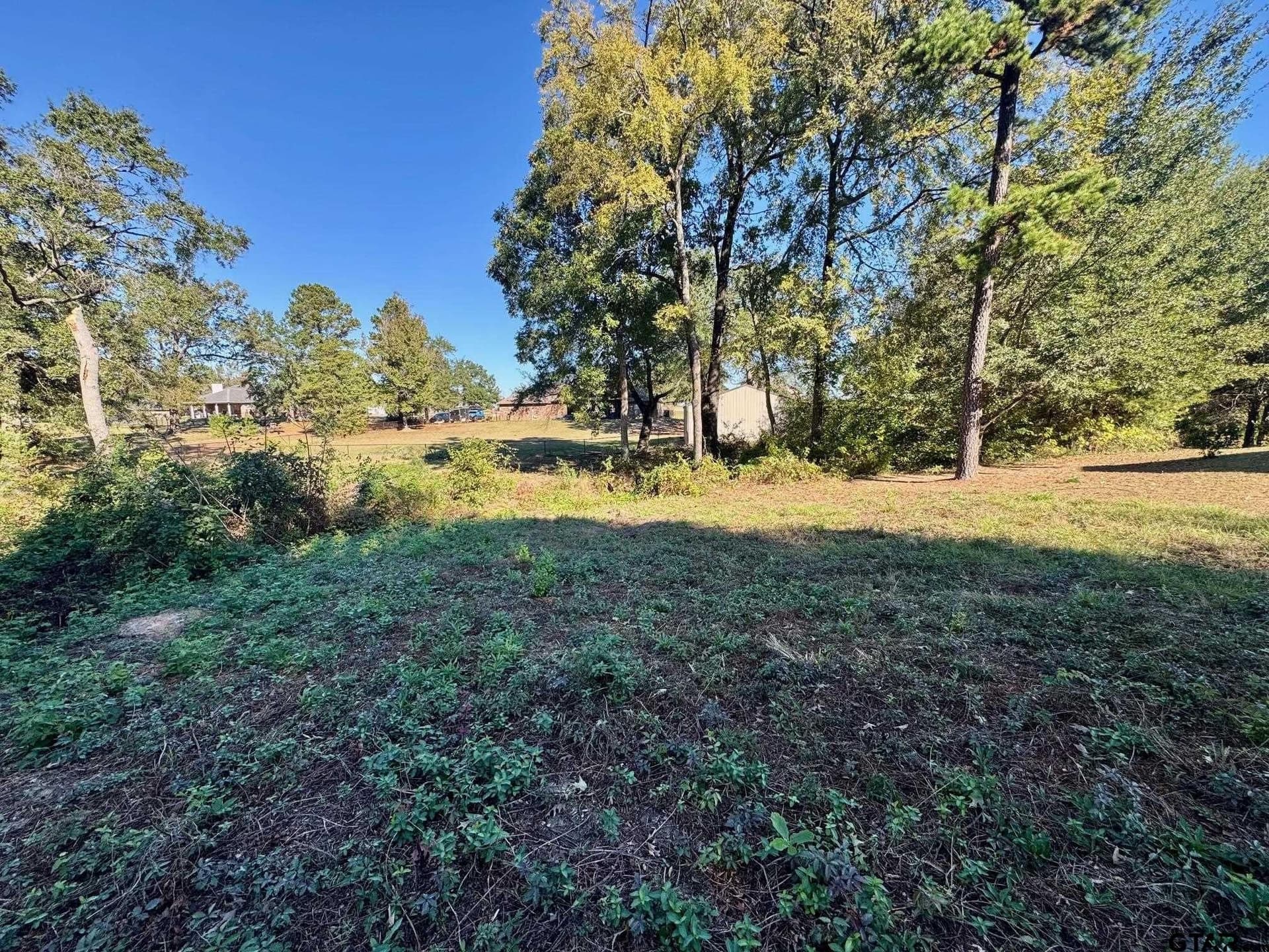 1.03 acres in Camp County - photo 7