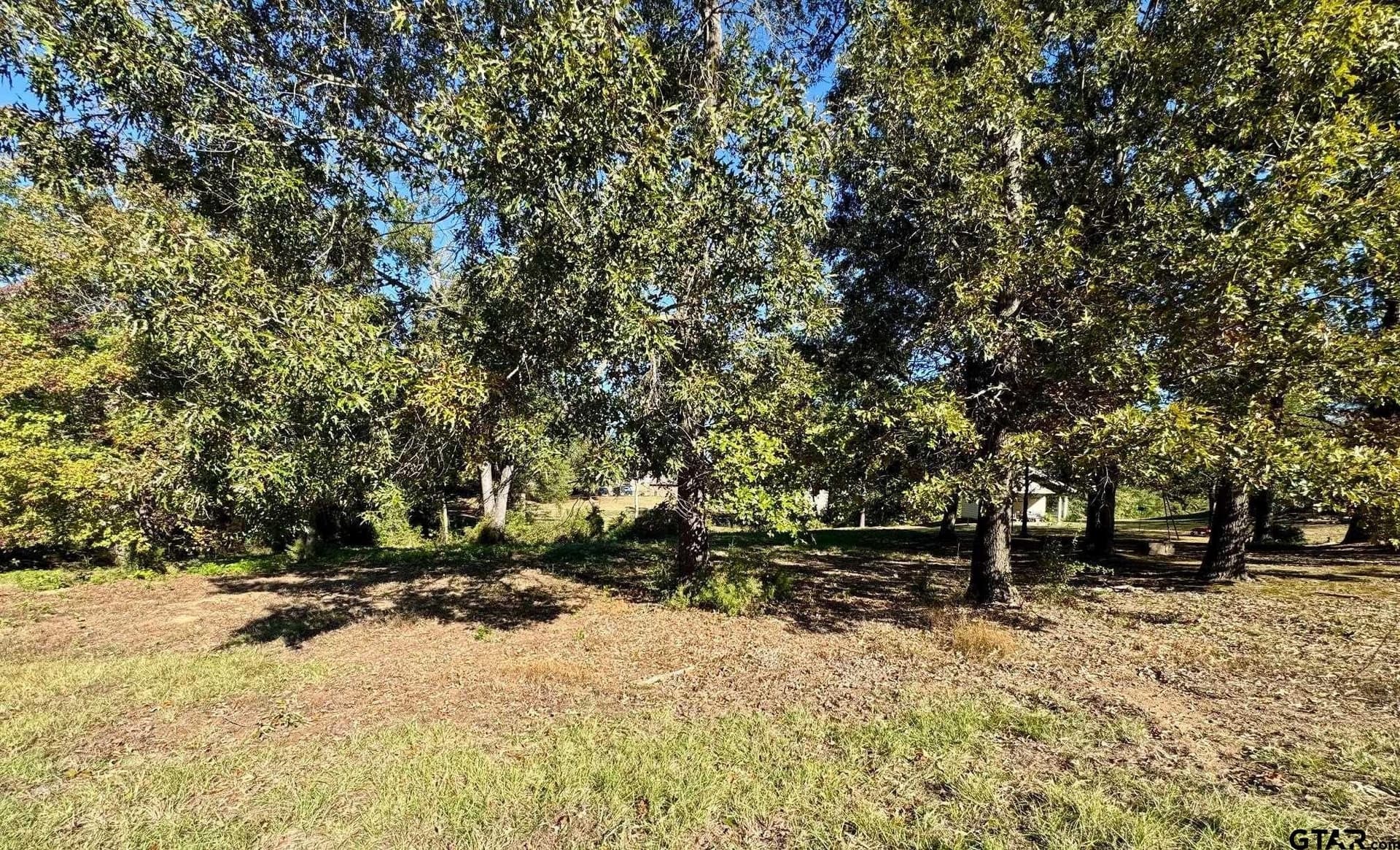 1.03 acres in Camp County - photo 9