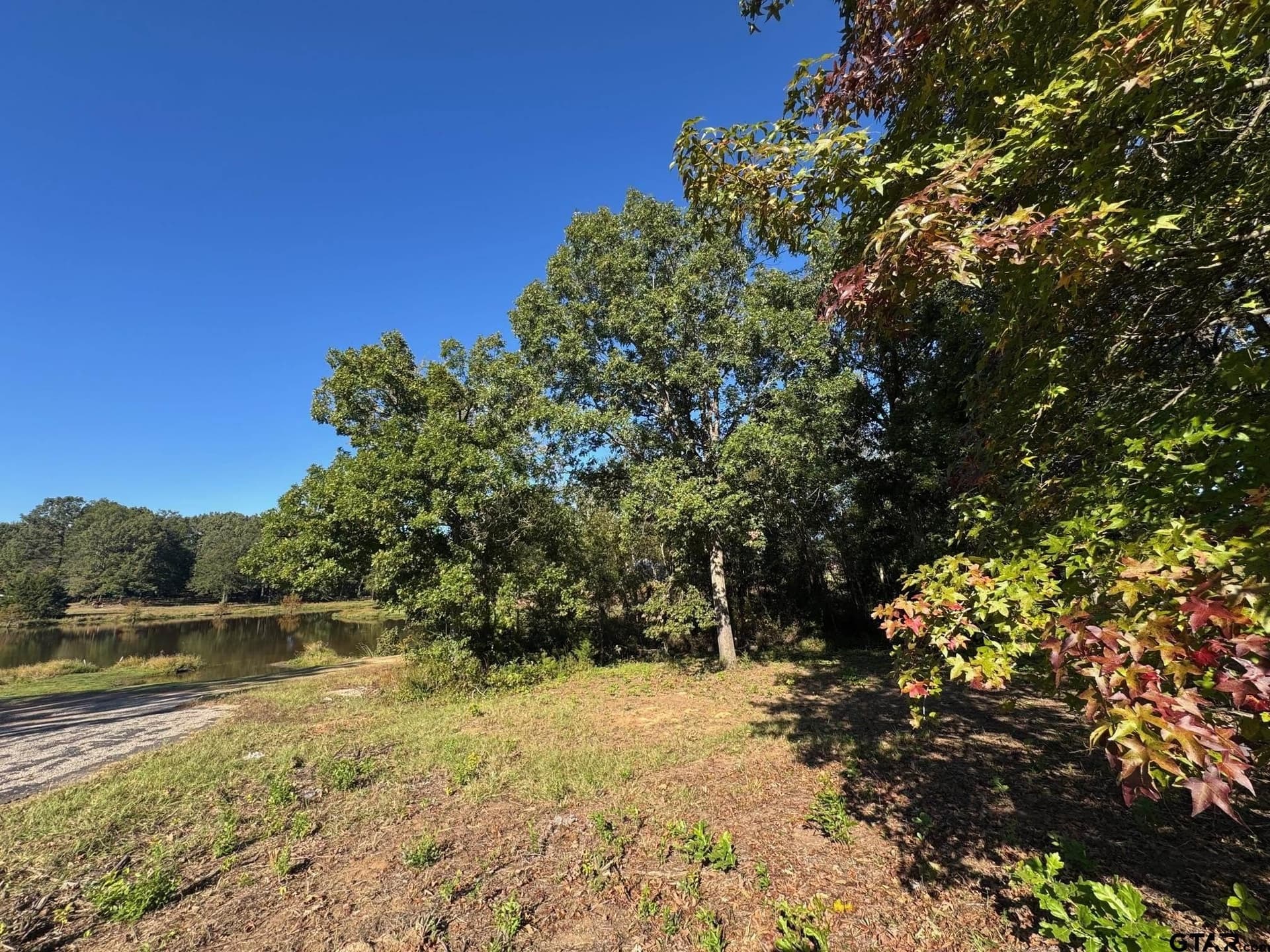 1.03 acres in Camp County - photo 8