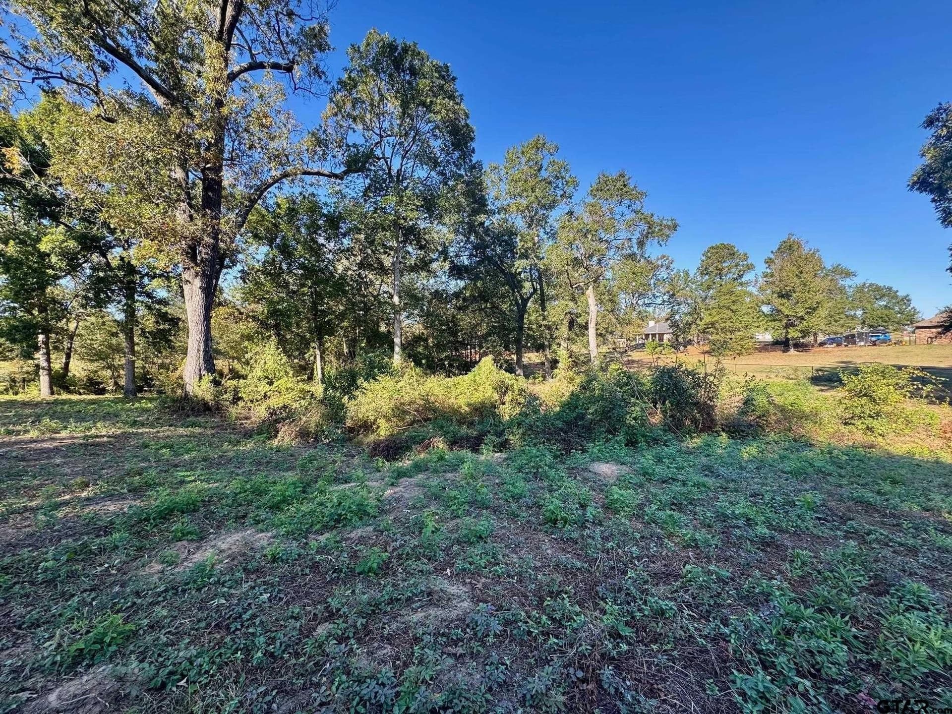 1.03 acres in Camp County - photo 5
