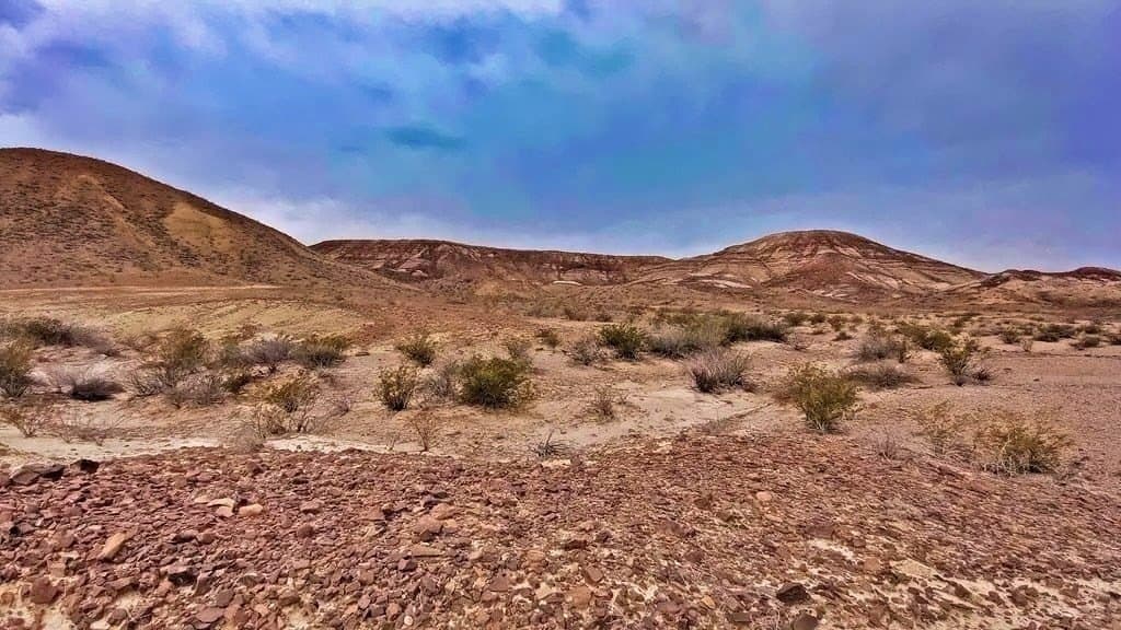 10.32 acres in Presidio County gallery image 3