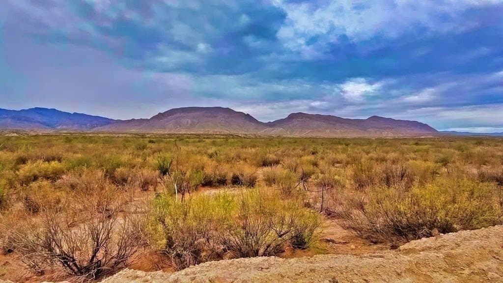 10.32 acres in Presidio County gallery image 2