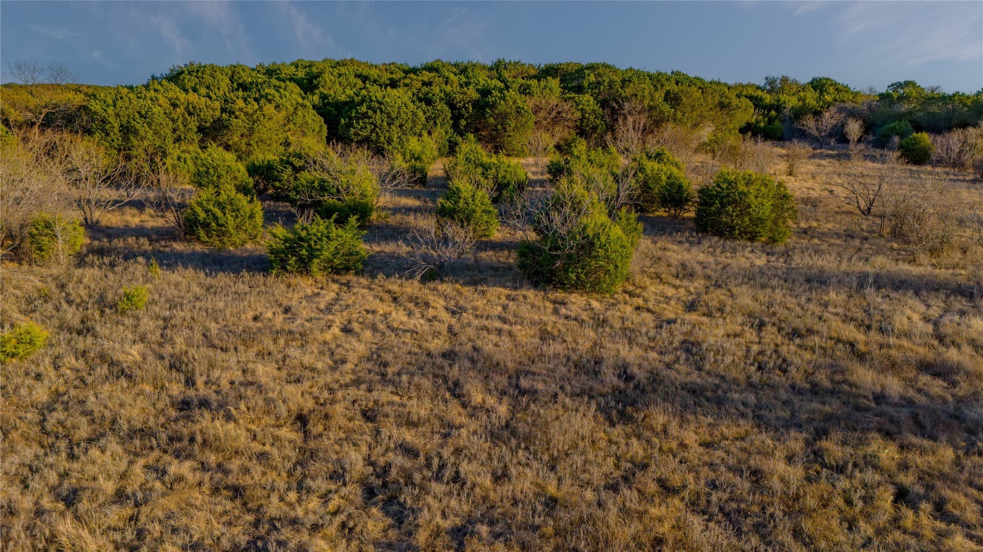 59.72 acres in Palo Pinto County - photo 11