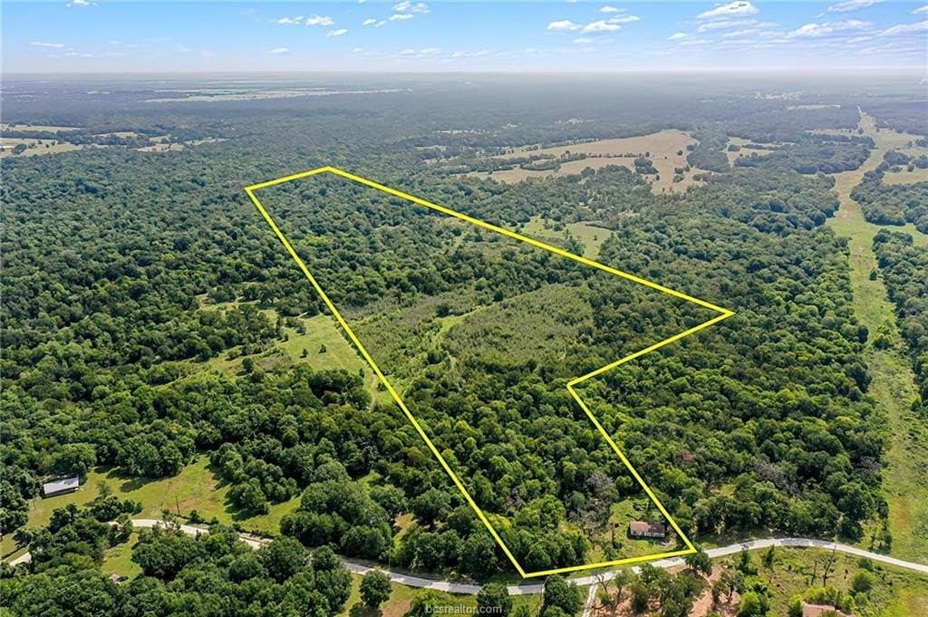 28.65 acres in Grimes County gallery image 3