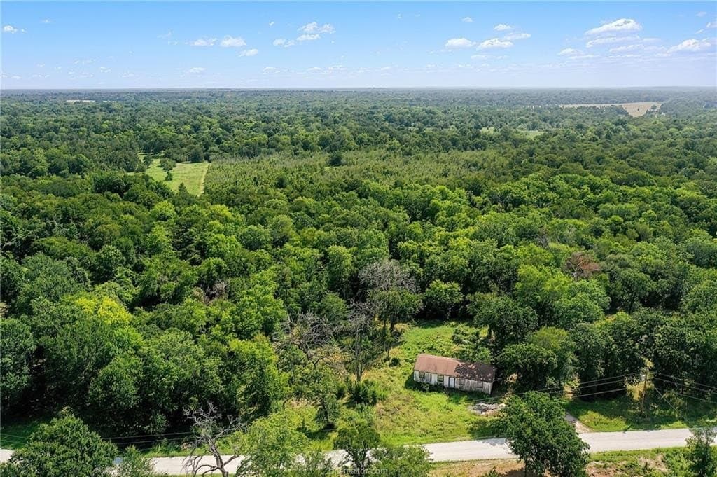 28.65 acres in Grimes County gallery image 2