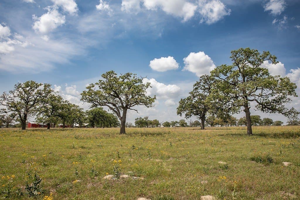 55.68 acres in Fayette County gallery image 2