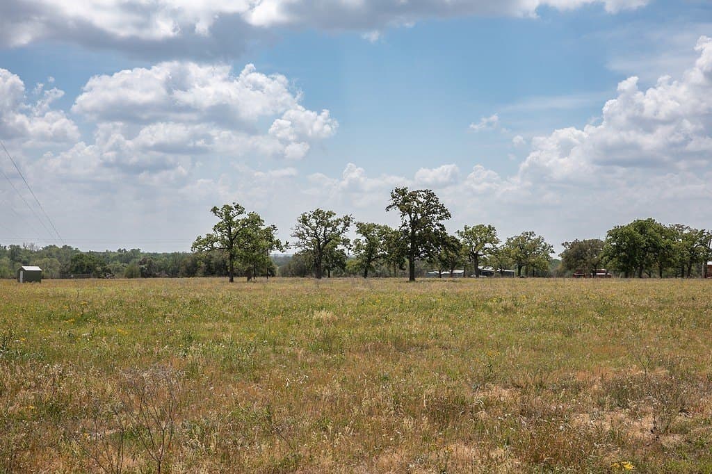 55.68 acres in Fayette County gallery image 4