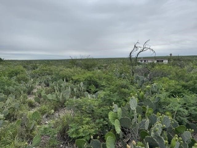 1.25 acres in Val Verde County gallery image 4