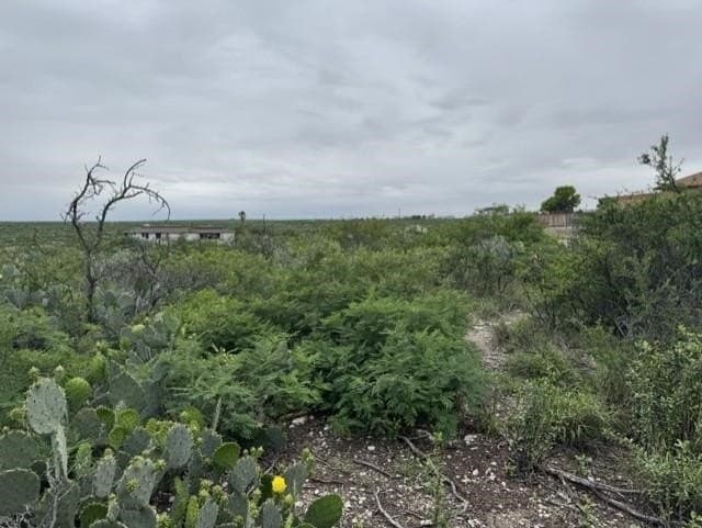 1.25 acres in Val Verde County featured view