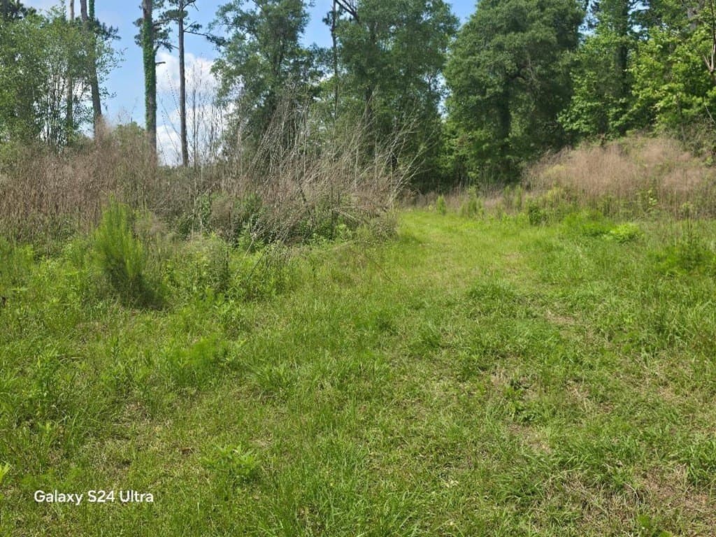 1.99 acres in Texas County gallery image 2