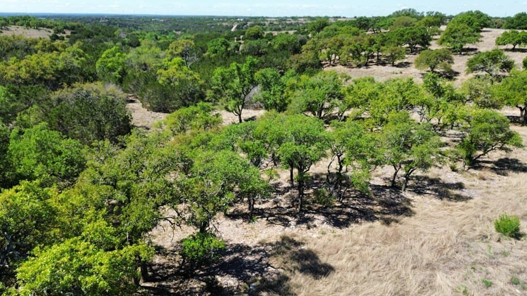 5 acres in Kerr County - photo 6