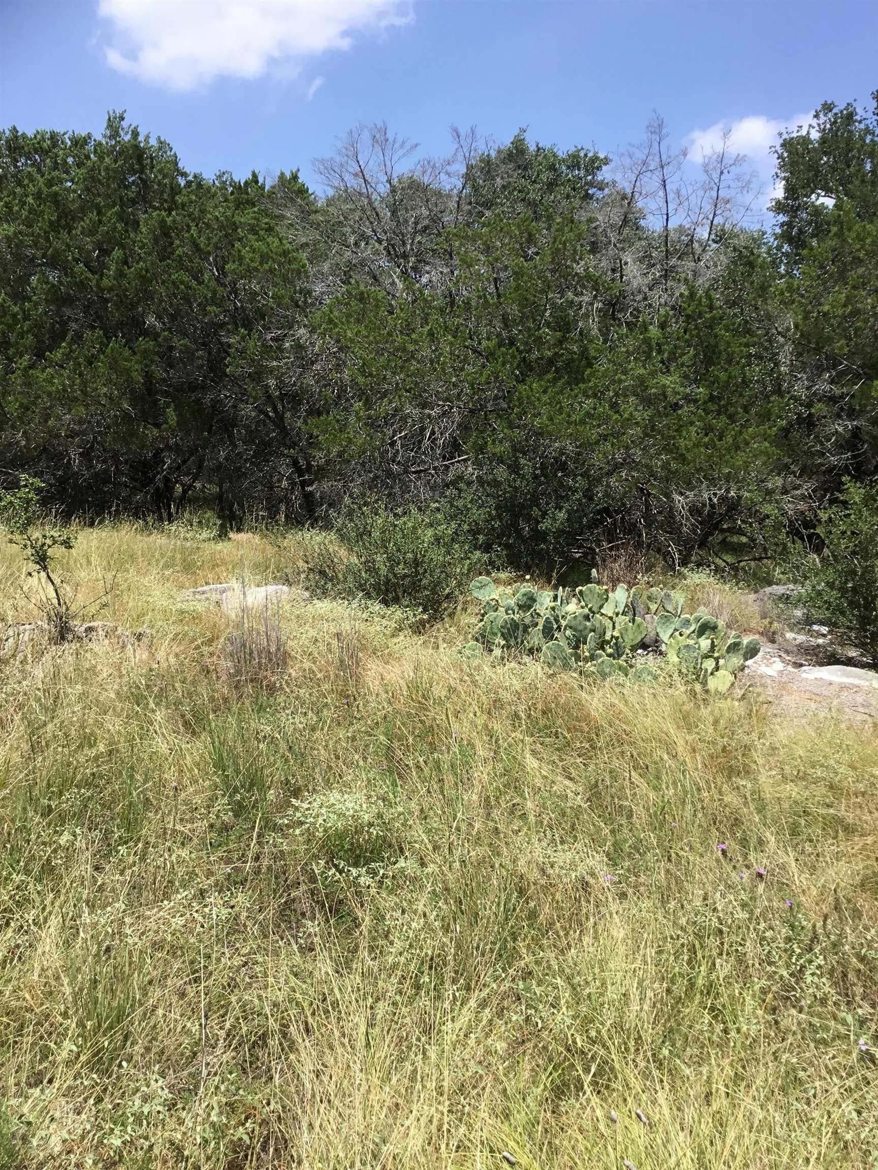 0.11 acres in Burnet County - photo 4