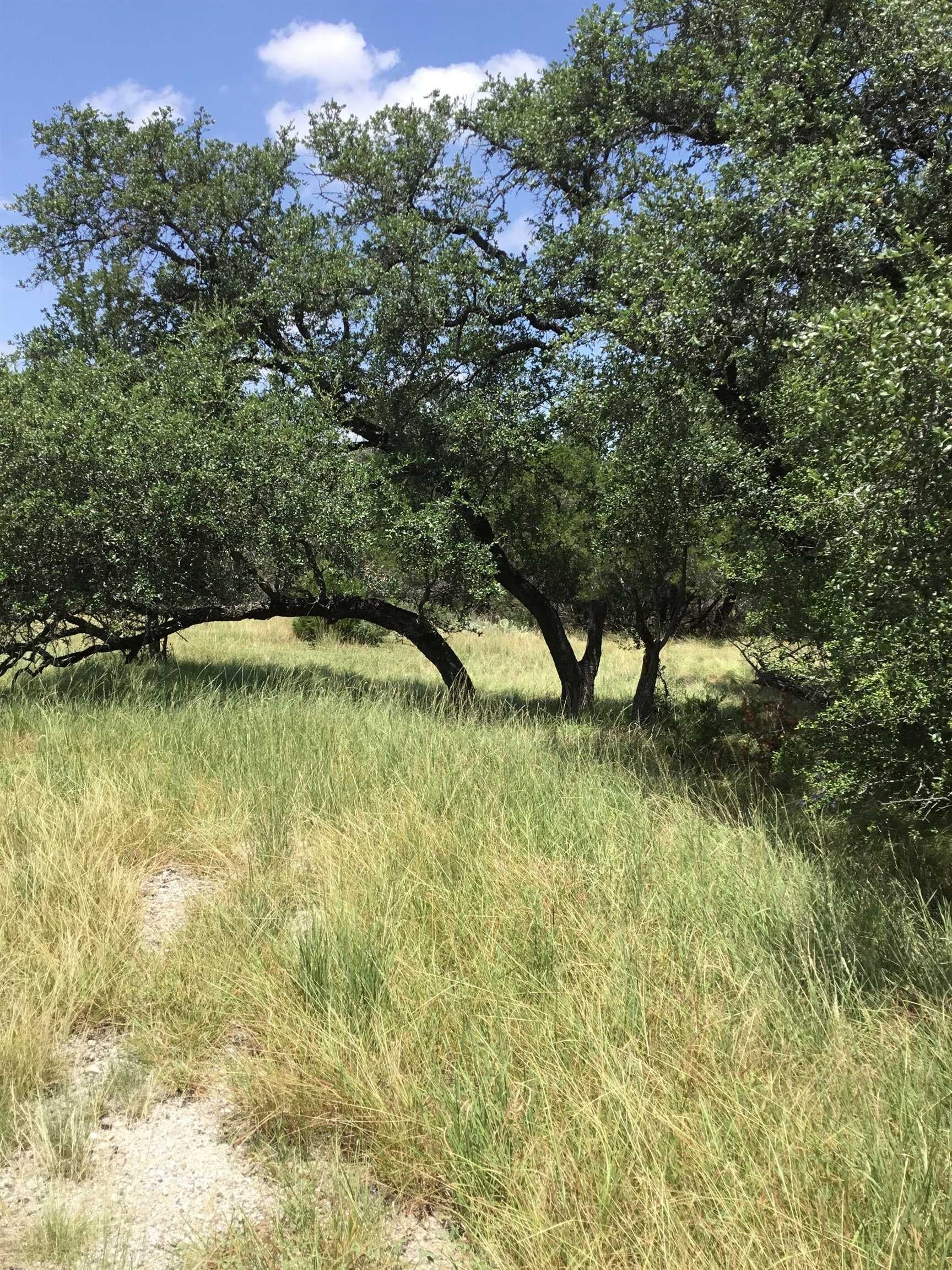 0.11 acres in Burnet County - photo 2
