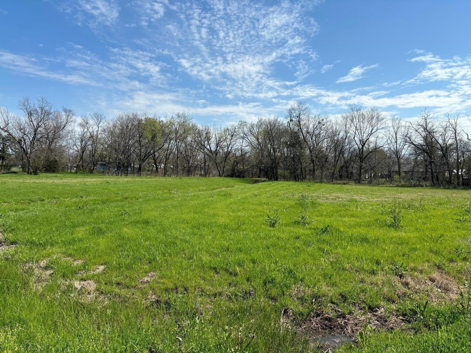 2.4 acres in Delta County - photo 13