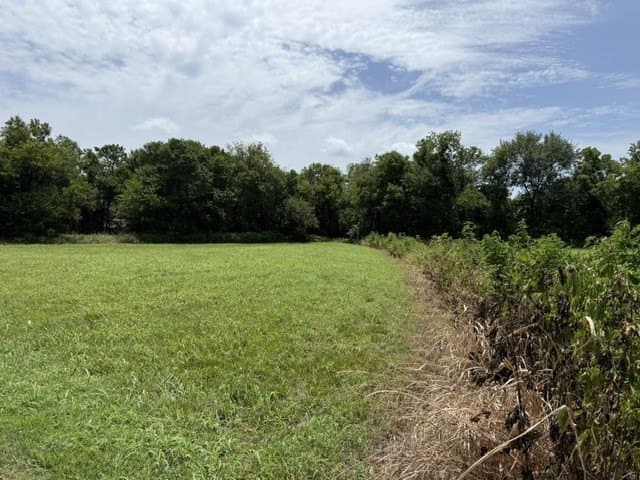 2.4 acres in Delta County - photo 7