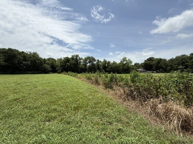 2.4 acres in Delta County - photo 6