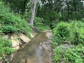 3.96 acres in Hill County gallery image 3