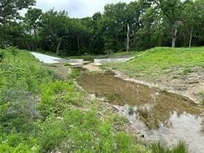 3.96 acres in Hill County gallery image 4