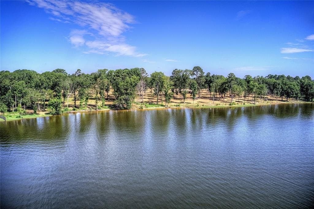 0.95 acres in Henderson County gallery image 4