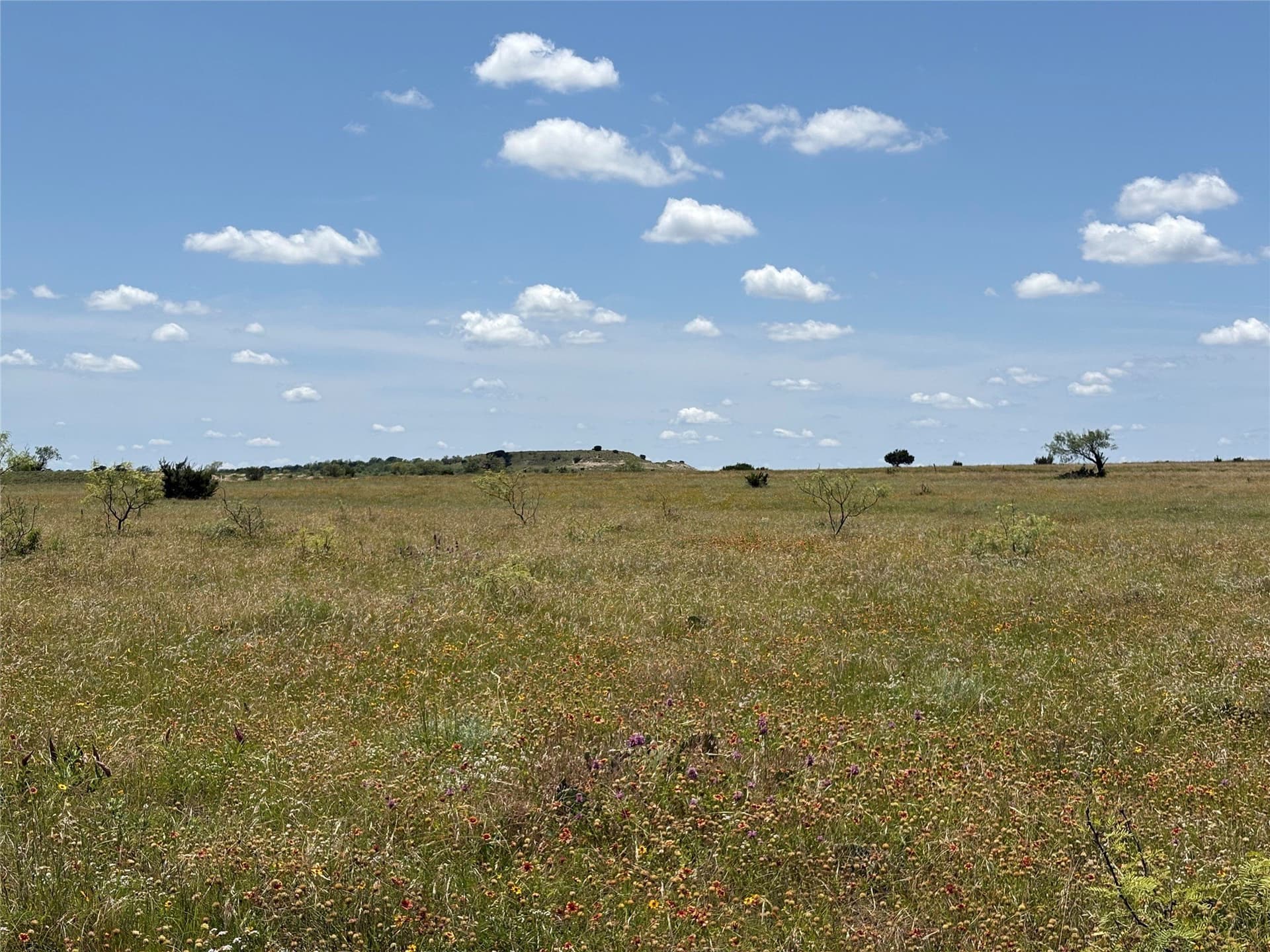 225 acres in Hamilton County - photo 19