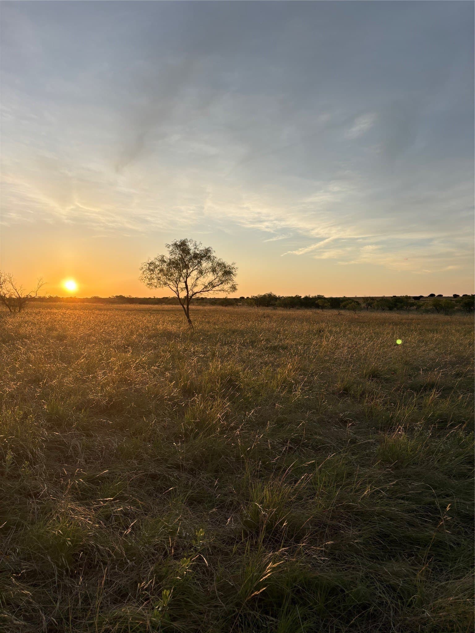 225 acres in Hamilton County - photo 11