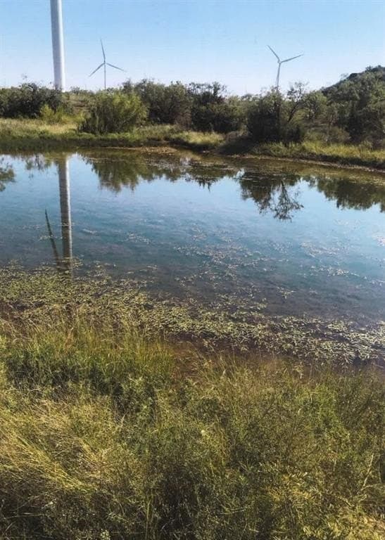 640 acres in Fisher County gallery image 2