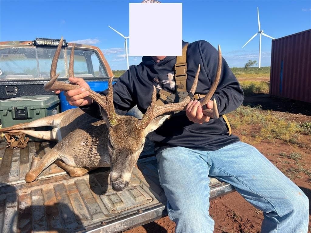 640 acres in Fisher County gallery image 3