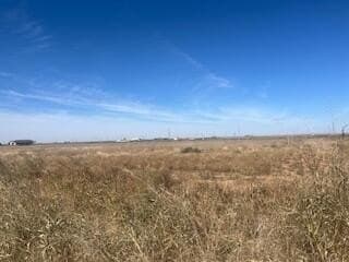 10 acres in Lynn County gallery image 3